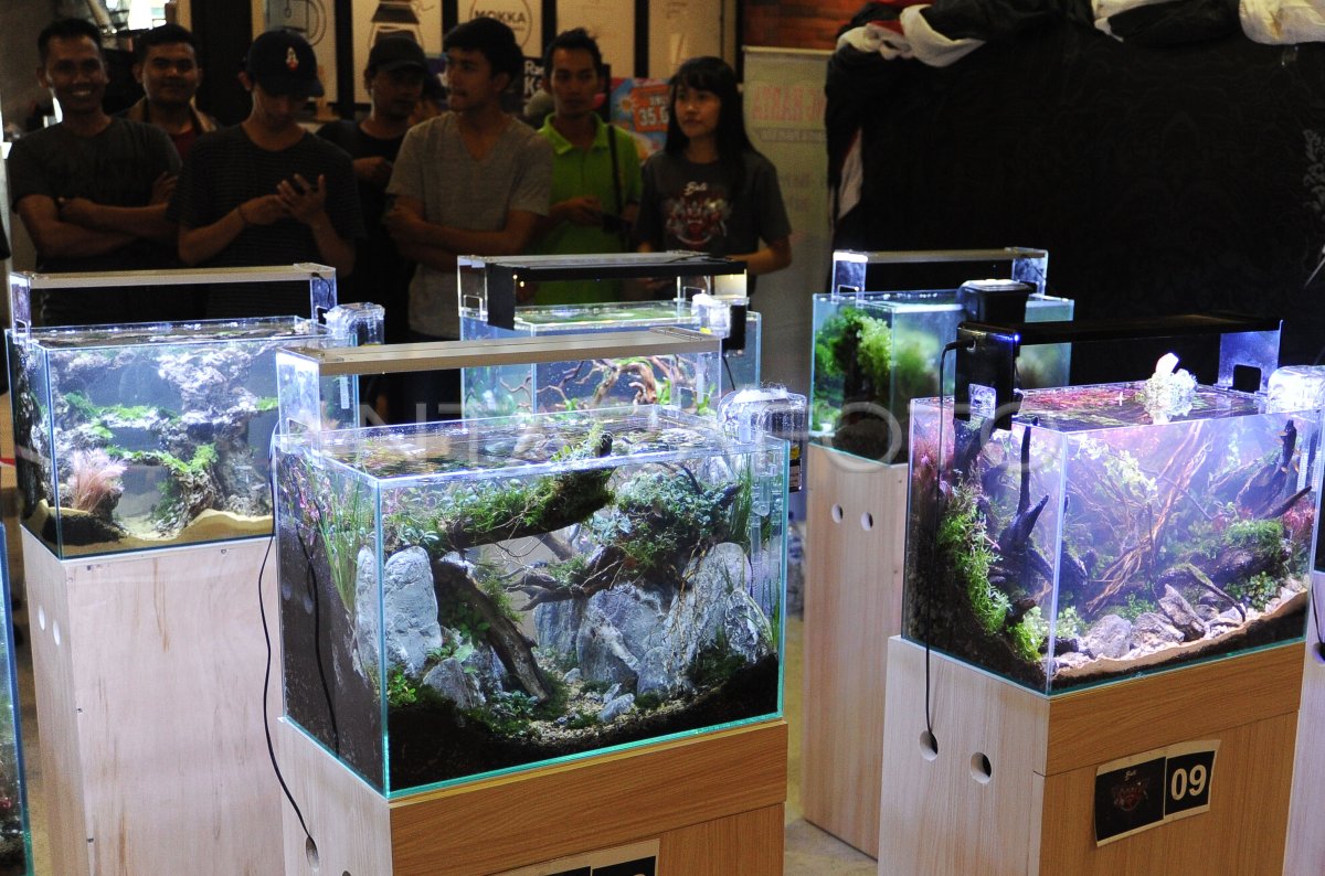 Mall Baru vs Tradisi Parcel Lebaran: Siapa yang Akan Menang di Cilacap?